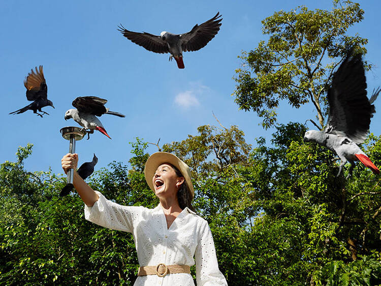 Walk on the wild side at Mandai Wildlife Reserve