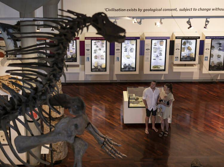Visit the Queen Victoria Museum and Art Gallery