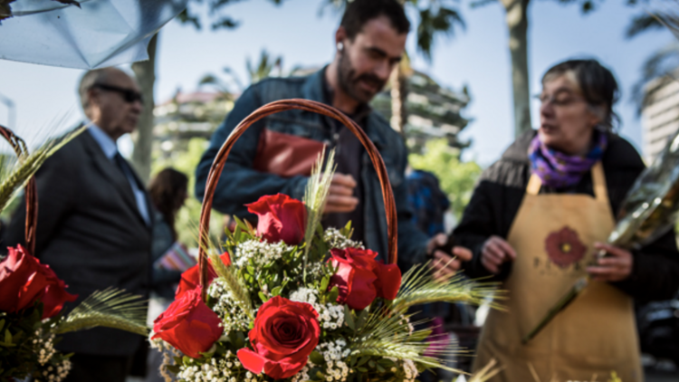 Sant Jordi