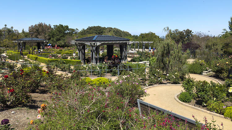 South Coast Botanic Garden