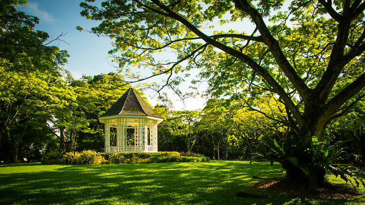 Singapore Botanic Gardens