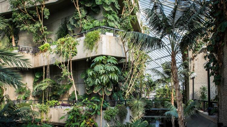 Enjoy a leafy paradise, FREE