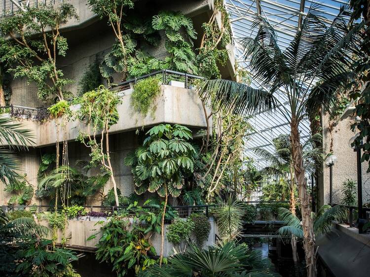 Enjoy a leafy paradise, FREE