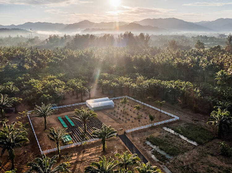 JW Marriott opens first ‘JW Garden’ in Asia in Khao Lak, strengthens Marriott Hotels’ sustainability move in Southern Thailand