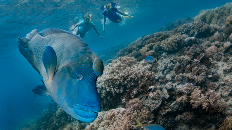 Great Barrier Reef