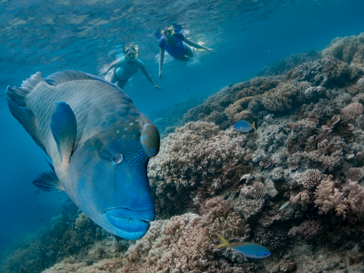 Great Barrier Reef