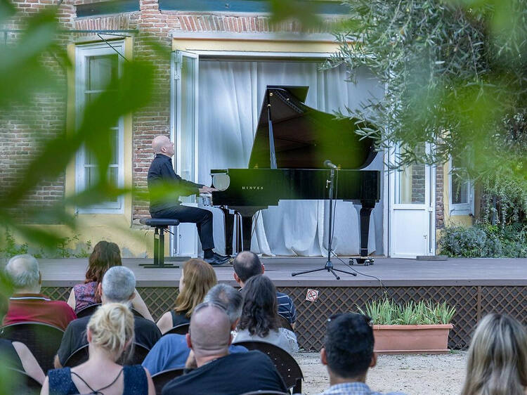 Música entre olivos Música entre olivos