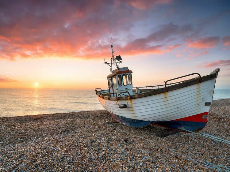 The 7 absolute best things to do in Dungeness The 7 absolute best things to do in Dungeness