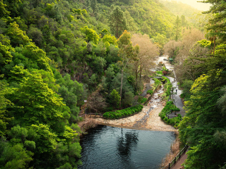 The best hikes in Adelaide