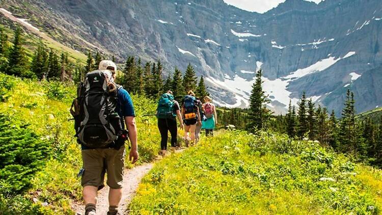 Grinnell Glacier Trail | MT