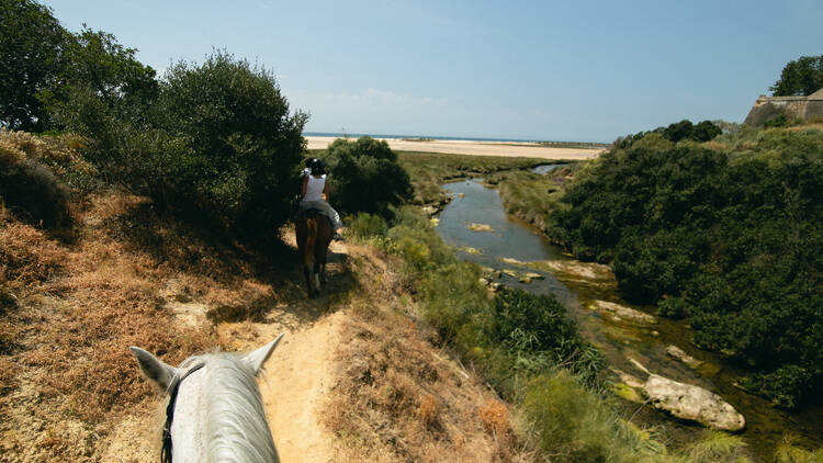 Discover the Ria Formosa on Horseback