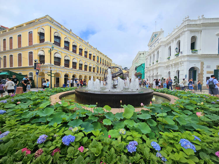Senado Square