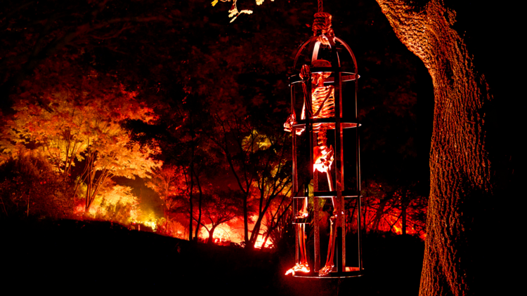 Go on a terrifying light trail at Halloween at Kew