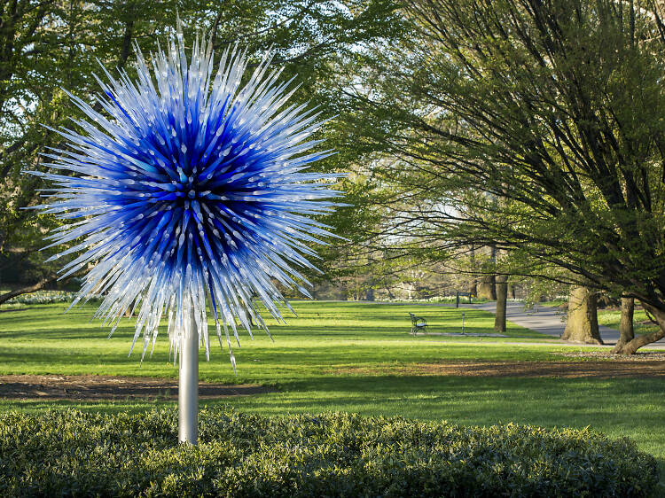 ‘Chihuly’s Garden Cycle’ at Adelaide Botanic Garden