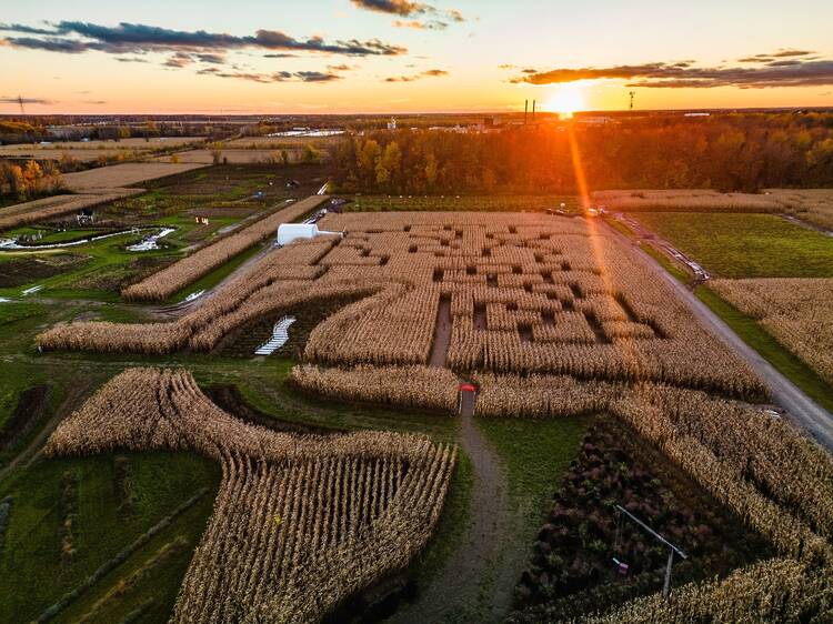 Get lost in the 11 best corn mazes near Montreal