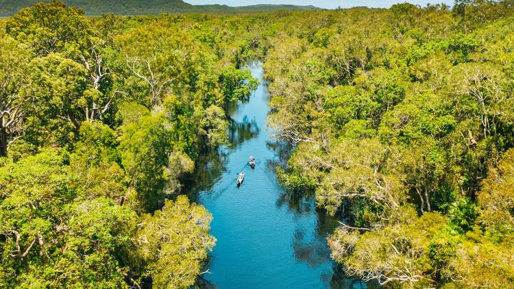 Cruise down the Noosa Everglades Cruise down the Noosa Everglades