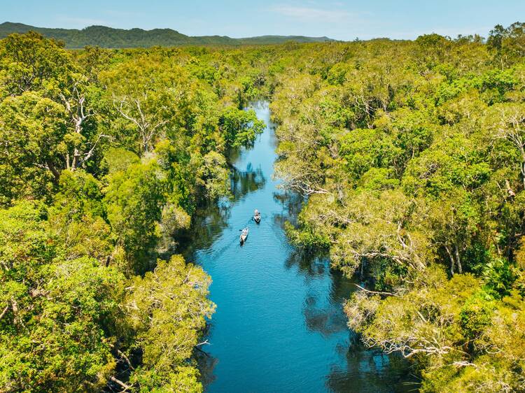 Cruise down the Noosa Everglades Cruise down the Noosa Everglades