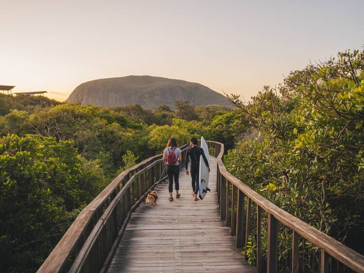 Climb Mount Coolum