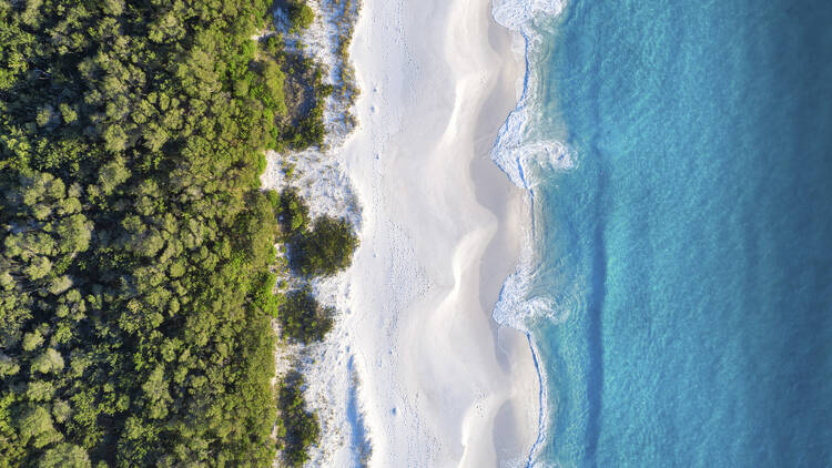 Hyams Beach, NSW