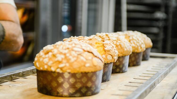 Feast on fluffy panettone at Pasticceria Cucchi