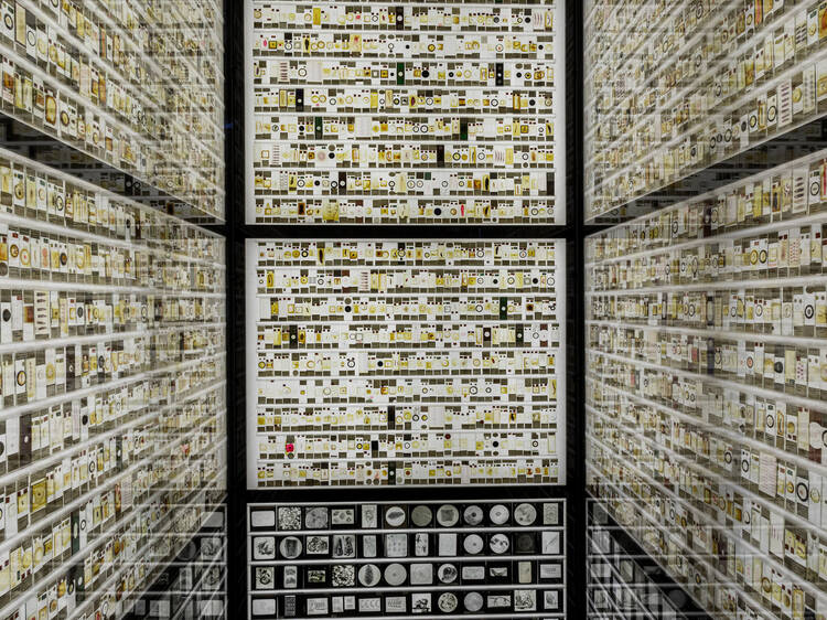 Grant Museum of Zoology