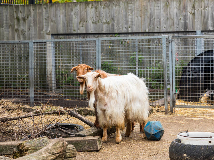 Cheap things to do in London: 50 fun things to do for less than the cost of a pint
