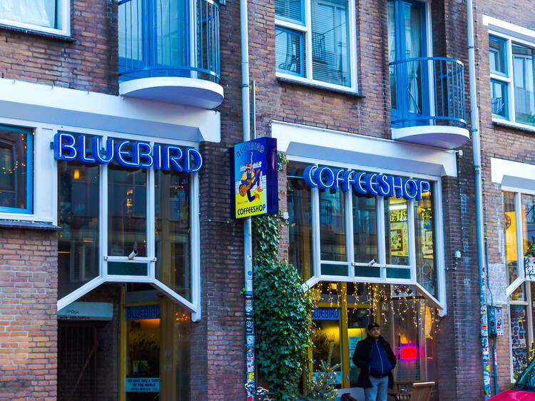 The 16 best coffeeshops in Amsterdam, for locals and tourists (updated 2025) The 16 best coffeeshops in Amsterdam, for locals and tourists (updated 2025)