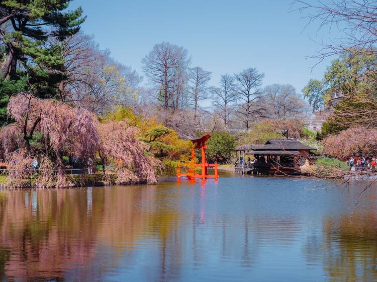 Best things to do in spring in NYC