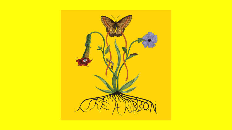 ‘Like a Ribbon’ – John Glacier