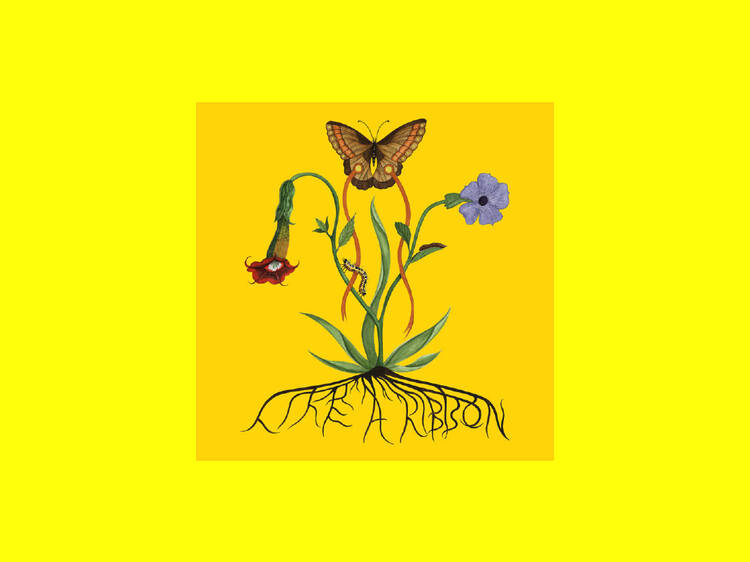 ‘Like a Ribbon’ – John Glacier