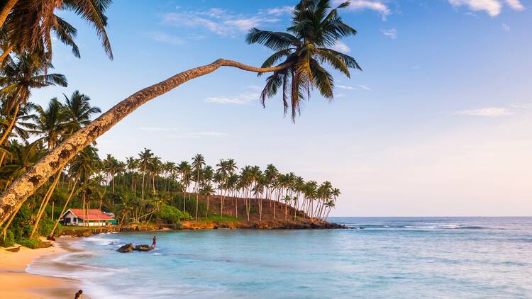 Sri Lanka Sri Lanka