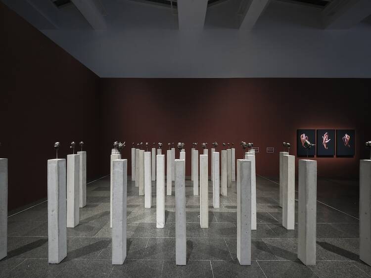 Carlos Motta. Pregàries de resistència