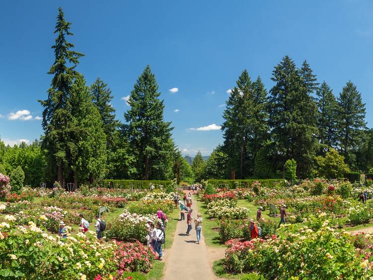 The 17 best things to do in Portland right now The 17 best things to do in Portland right now