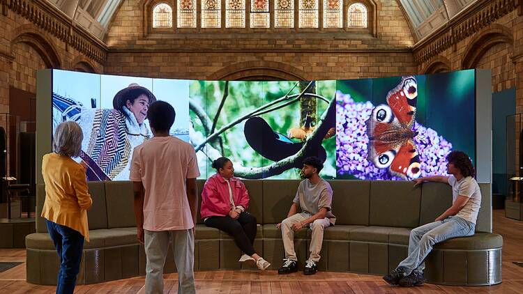 Natural History Museum new gallery Fixing Our Broken Planet
