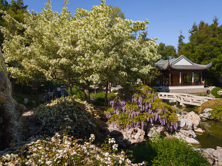 The Huntington