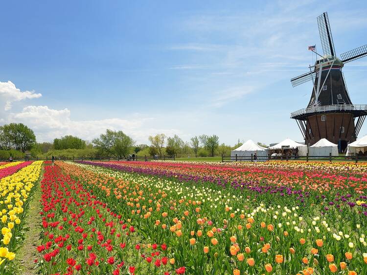 The best day trips from Chicago for an exciting adventure