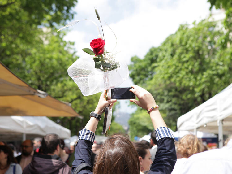 Así celebraremos Sant Jordi 2025: más puestos, más espacio y diseño especial en Las Ramblas por las obras