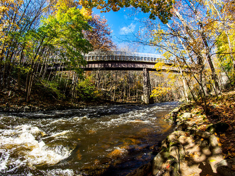 The best hiking spots near NYC for scenic trails The best hiking spots near NYC for scenic trails