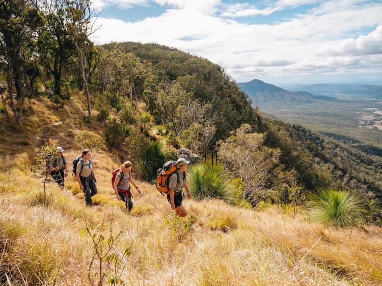 Scenic Rim Trail, QLD