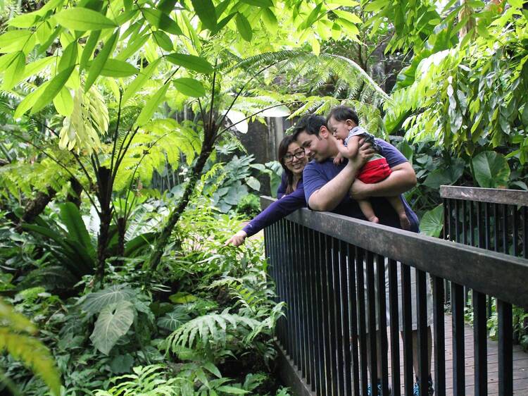 Wander the lush grounds at Fairchild Tropical Botanic Garden