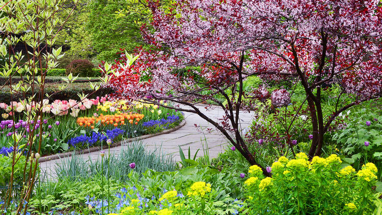 Central Park
