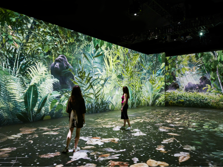 Our Story with David Attenborough