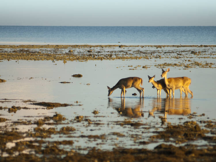West Bali: 7 under-the-radar spots to visit