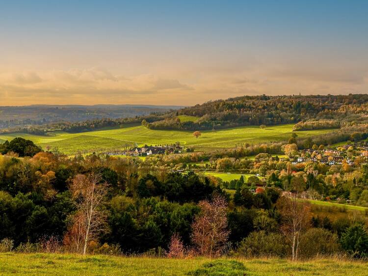 The lush green hill trail that is officially one of the best scenic walks near London – and it’s less than an hour from the city The lush green hill trail that is officially one of the best scenic walks near London – and it’s less than an hour from the city