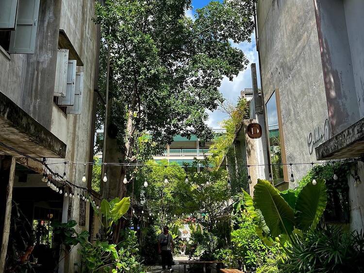 รวมร้านกาแฟมุมสงบใจกลางกรุง ทำงาน อ่านหนังสือท่ามกลางความเขียวชอุ่ม รวมร้านกาแฟมุมสงบใจกลางกรุง ทำงาน อ่านหนังสือท่ามกลางความเขียวชอุ่ม