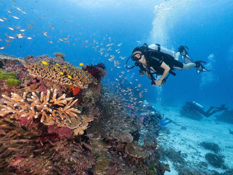The best places to scuba dive The best places to scuba dive