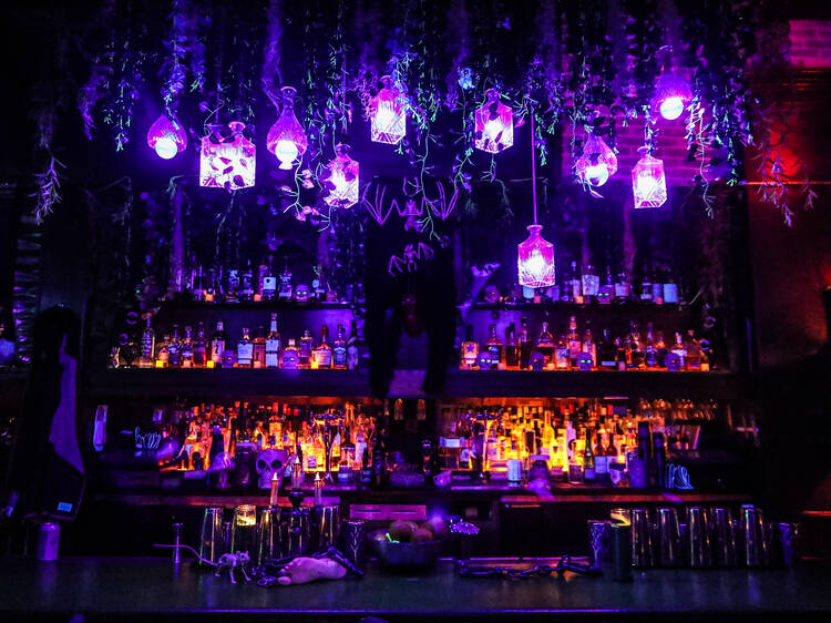 Sip spooky potions at Black Lagoon