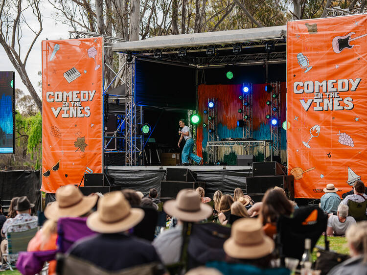 Comedy in the Vines