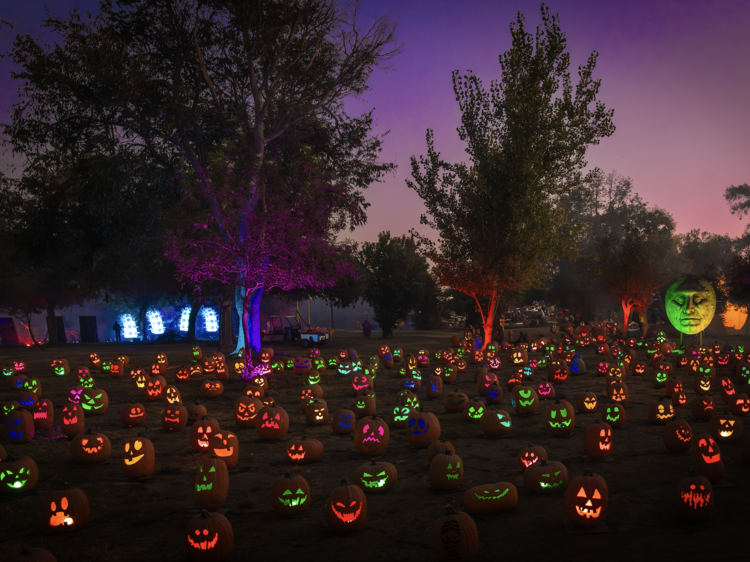 Magic of the Jack O’Lanterns