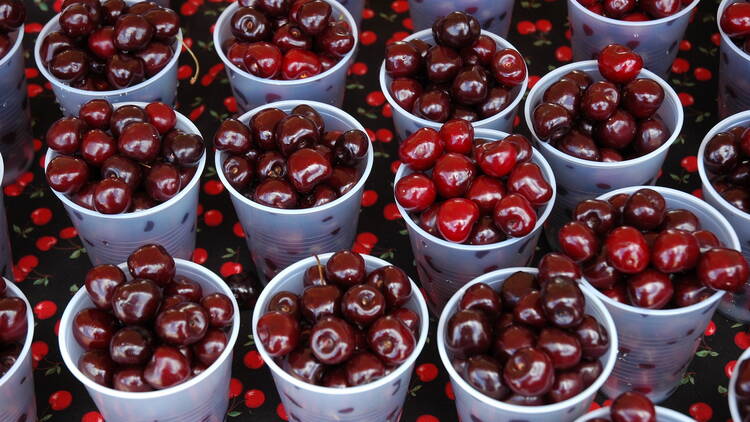 National Cherry Festival | Traverse, MI